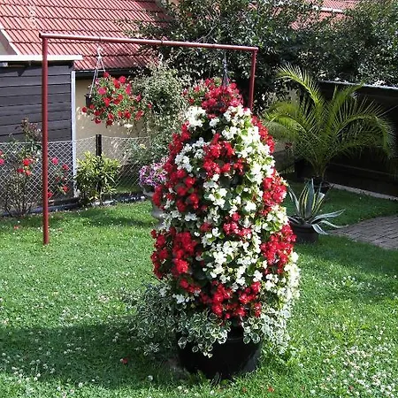 Affittacamere Moehring