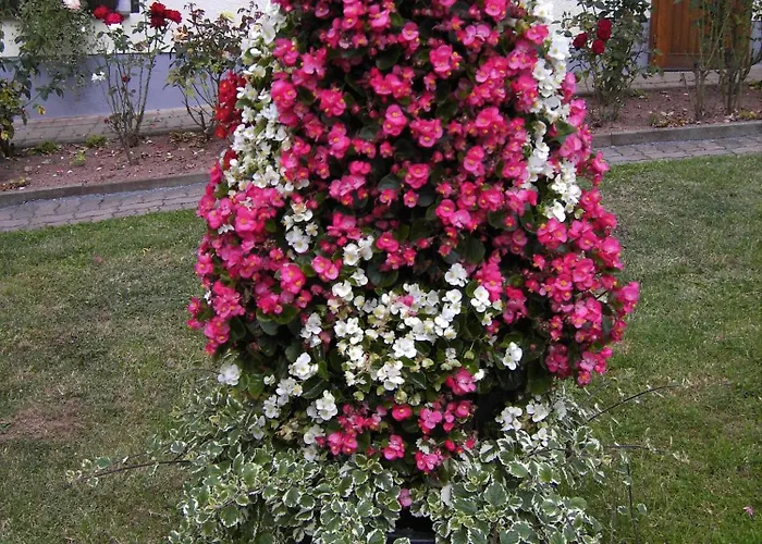 Гостевой дом Moehring