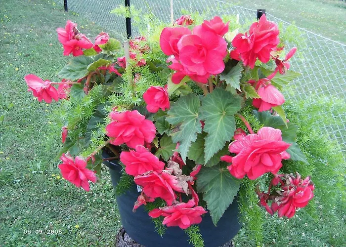 Moehring Konukevi Bad Suderode